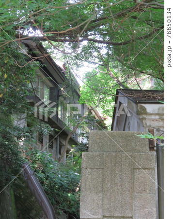 福井県 足羽山 福井県 足羽山 78850134