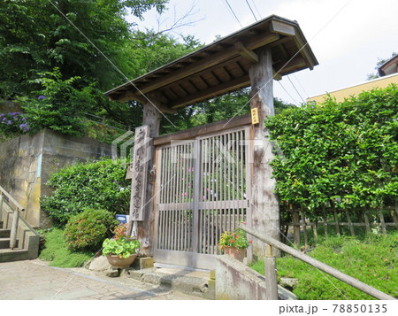 福井県　足羽山 78850135