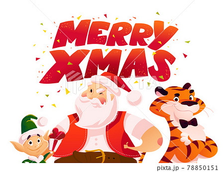 Merry Christmas illustration with little dwarf, Santa Claus, tiger characters and text congratulation isolated. Vector flat cartoon style. For banner, sale card, pos 78850151