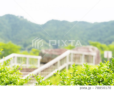 石舞台古墳　奈良県 78850170