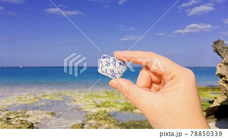 【海洋漂着ごみ】美しい海岸に流れ着いた陶器の破片 【海洋漂着ごみ】美しい海岸に流れ着いた陶器の破片 78850339