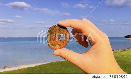 【海洋漂着ごみ】美しい海岸に流れ着いた金属 【海洋漂着ごみ】美しい海岸に流れ着いた金属 78850342