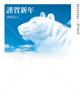 寅年賀状デザイン28-f　青空に雲で表現した虎　テンプレート 謹賀新年 78850388