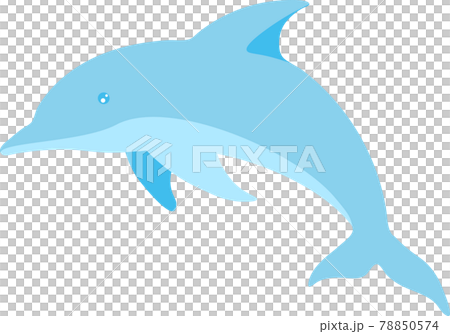 輕輕地跳著一隻海豚的插圖 輕輕地跳著一隻海豚的插圖 78850574