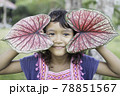 A portrait of an Asian schoolgirl enjoying the leaves of her caladium. 78851567