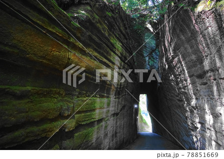 6月　富津48燈籠坂大師の切通しトンネル 78851669