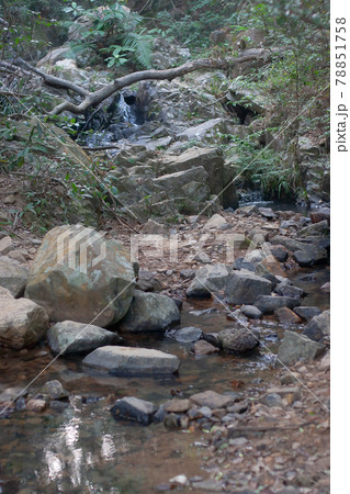 a landscape of Shing Mun Reservior Creek a landscape of Shing Mun Reservior Creek 78851758