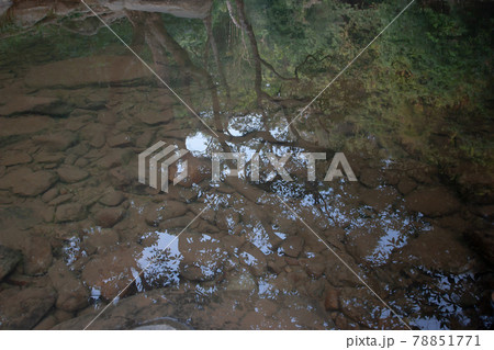 a small pond at the uppon river, Shing Mun Reservior 78851771