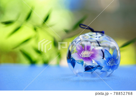 縁側に置いた卓上の風鈴・クレマチスの花5 縁側に置いた卓上の風鈴・クレマチスの花5 78852768