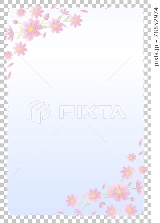 Postcard in mourning Cosmos flowers 78852974