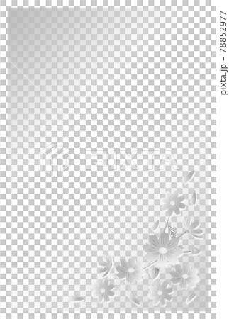 Postcard in mourning Cosmos flowers 78852977