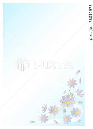 喪中はがき　コスモスの花 78852978