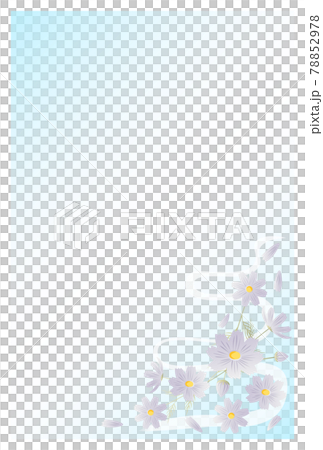 Postcard in mourning Cosmos flowers 78852978