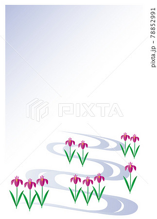 喪中はがき 菖蒲の花のイラスト素材