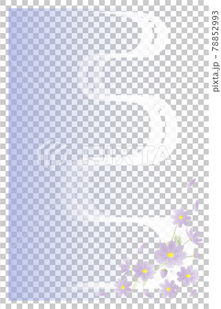Postcard in mourning Cosmos flowers Postcard in mourning Cosmos flowers 78852993
