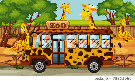 Safari scene with many giraffes and kids on tourist bus 78853066