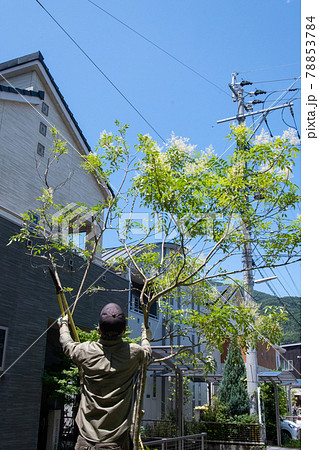 庭の手入れ 住宅地 エクステリア 庭の手入れ 住宅地 エクステリア 78853784