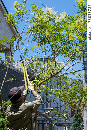 庭の手入れ　住宅地　エクステリア 78853787