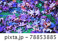 紅葉落ち葉 78853885