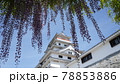 お城とフジ 78853886