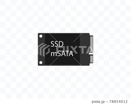 Solid state drive, ssd mSATA icon. Vector illustration, flat design. 78854012