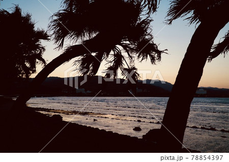 海が黄金色に輝く青島の夕景 78854397