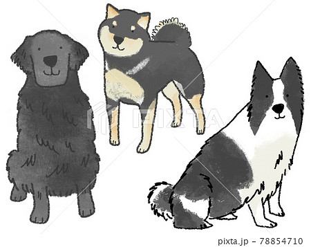 大型犬 イラストのイラスト素材