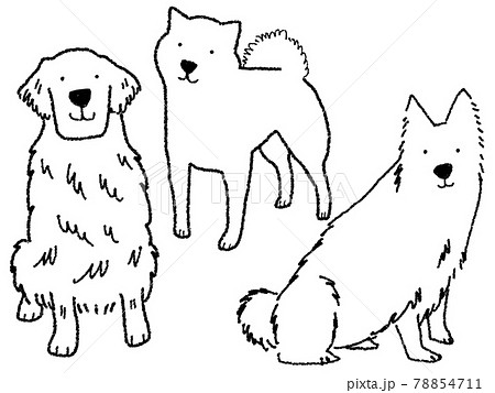 大型犬 イラストのイラスト素材