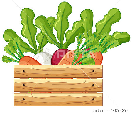 Vegetables in a wooden crate in cartoon style isolated Vegetables in a wooden crate in cartoon style isolated 78855055