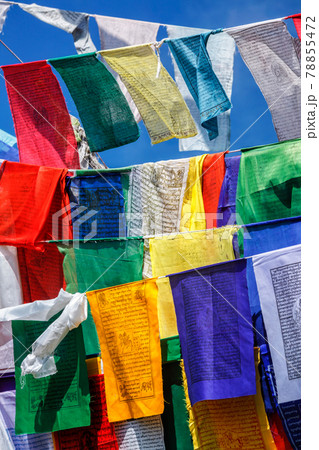 Buddhist prayer flags lunga in McLeod Ganj, Himachal Pradesh, India Buddhist prayer flags lunga in McLeod Ganj, Himachal Pradesh, India 78855472