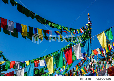Buddhist prayer flags lunga in McLeod Ganj, Himachal Pradesh, India Buddhist prayer flags lunga in McLeod Ganj, Himachal Pradesh, India 78855480