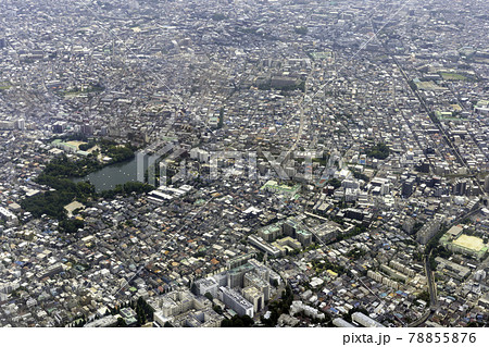 東京都大田区の洗足池から東雪谷付近を空撮 78855876