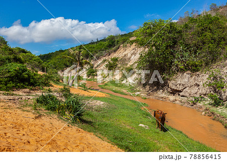 Fairy Stream Suoi Tien, Vietnam Fairy Stream Suoi Tien, Vietnam 78856415