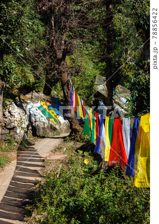 Buddhist prayer flags 78856422