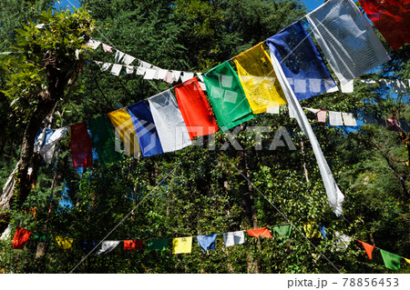 Buddhist prayer flags lunga in McLeod Ganj, Himachal Pradesh, India Buddhist prayer flags lunga in McLeod Ganj, Himachal Pradesh, India 78856453