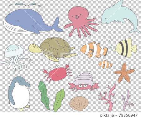 海生物設置 78856947