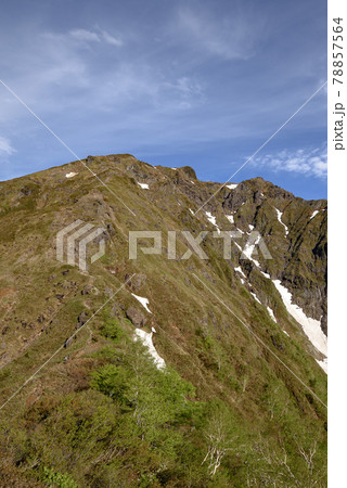早朝の谷川岳ラクダの背から望む双耳峰 78857564