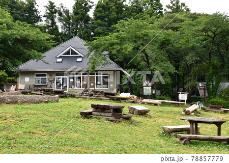 愛川町　服部牧場のアイス工房と新緑と休憩広場 78857779