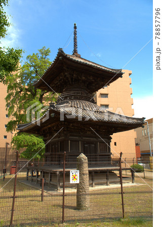 【国指定重要文化財】遍照寺の多宝塔といちょう公園の大いちょうと青空　岡山県笠岡市 78857796