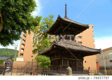 【国指定重要文化財】遍照寺の多宝塔といちょう公園と笠岡市街　岡山県笠岡市 78857797