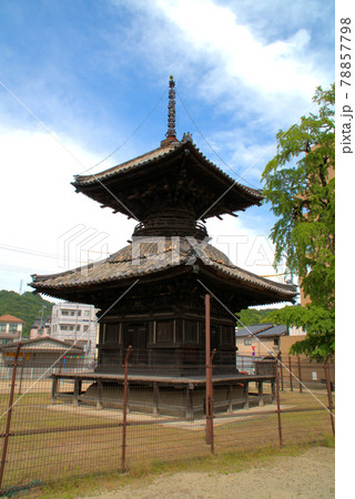 【国指定重要文化財】遍照寺の多宝塔といちょう公園　岡山県笠岡市 78857798
