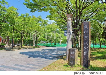 【福岡市】　天神中央公園　 78858013