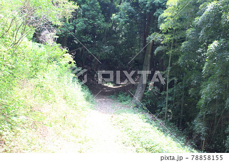 飛山城跡 飛山城跡 78858155