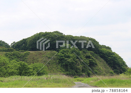 飛山城跡 78858164