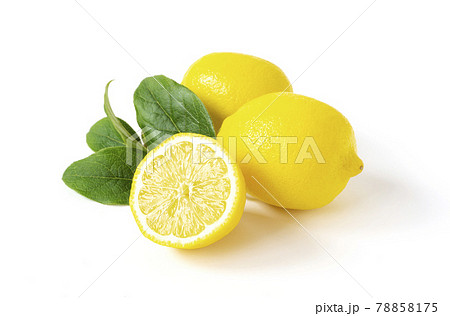 レモンとレモンの葉 78858175