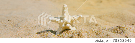 starfish on the sand of the beach, web banner 78858649