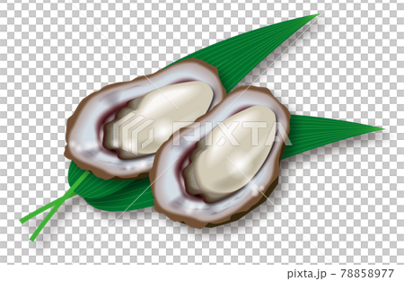 牡蠣のイラスト 78858977
