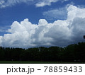 林の上に連なる雲 78859433