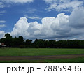 連なる積雲 78859436