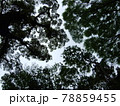 曇り空にパッチワーク 78859455